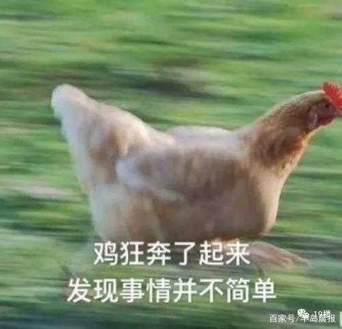 地鐵安檢不允許帶活雞，大媽接下來的行為，把地鐵的小姐姐嚇壞了